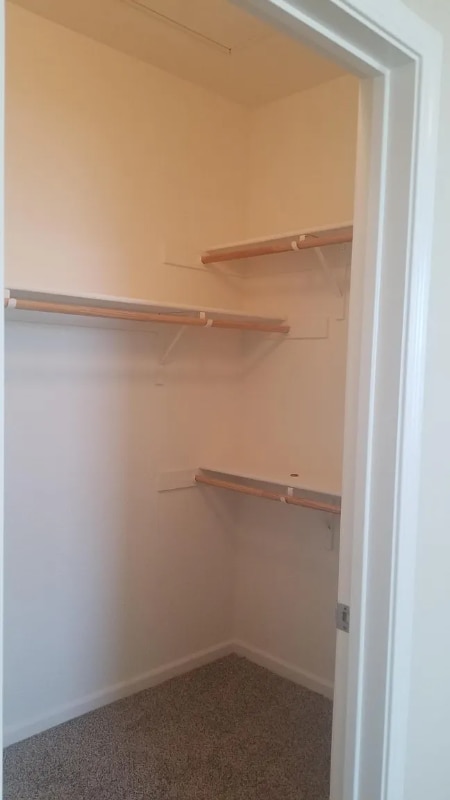 Building Photo - 2806 Tourbrook Way