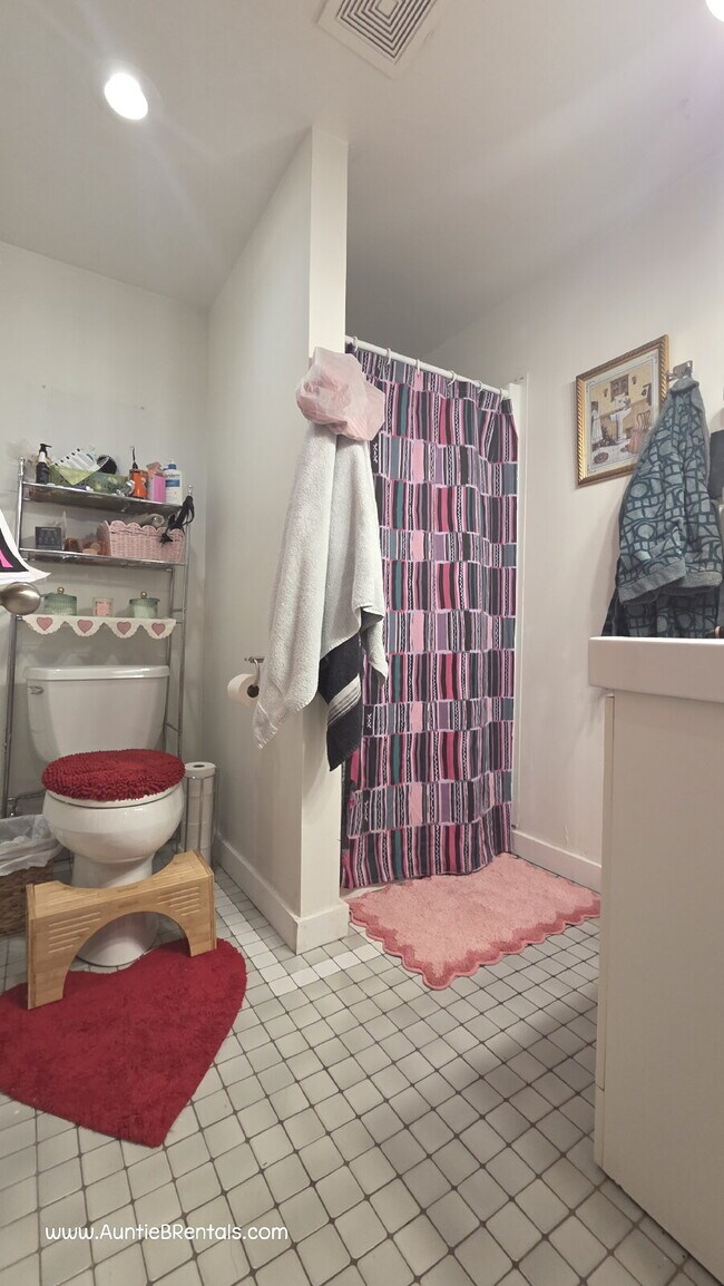 Building Photo - Beautiful single family home with near U of MN - 4 bed 2 bath