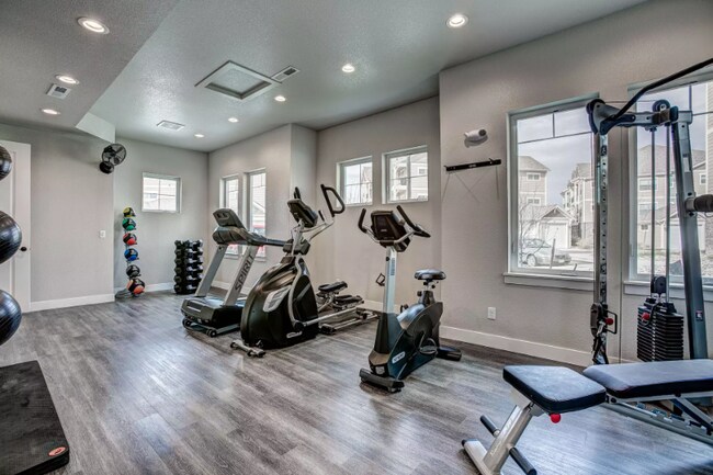 Gym - 4672 Hahns Peak Dr