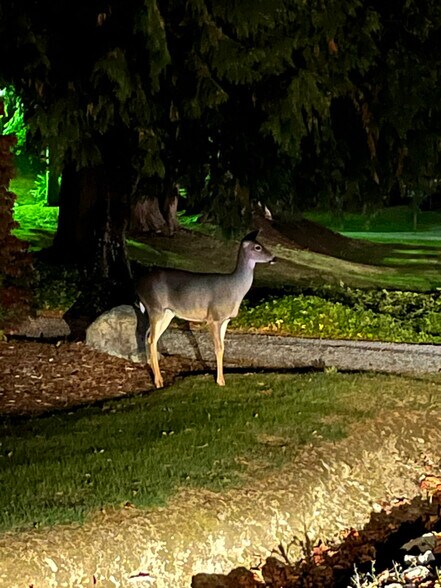 Building Photo - 1007 Digby Ln