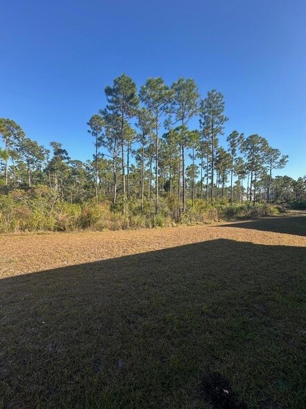 Building Photo - 7 Nest Ln