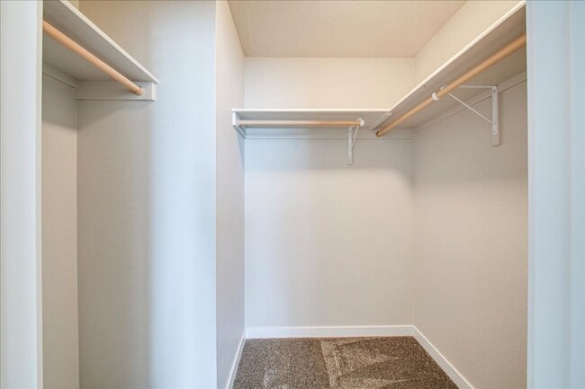 Building Photo - Two Story, Spacious Star Home!