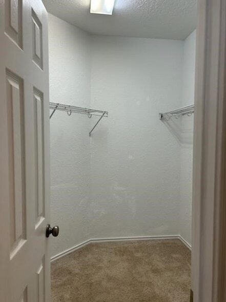 Building Photo - 3618 Primrose Trace Ln