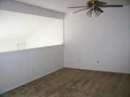 Building Photo - 11217 Briar Forest Dr