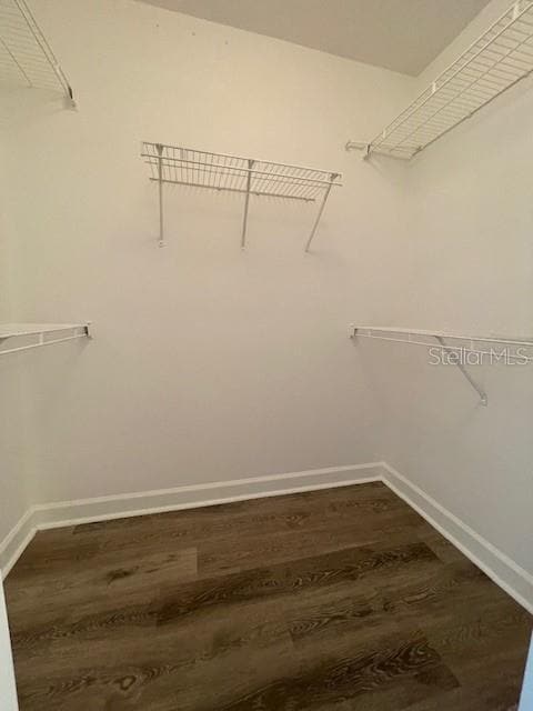 Building Photo - 18319 Bridle Club Dr