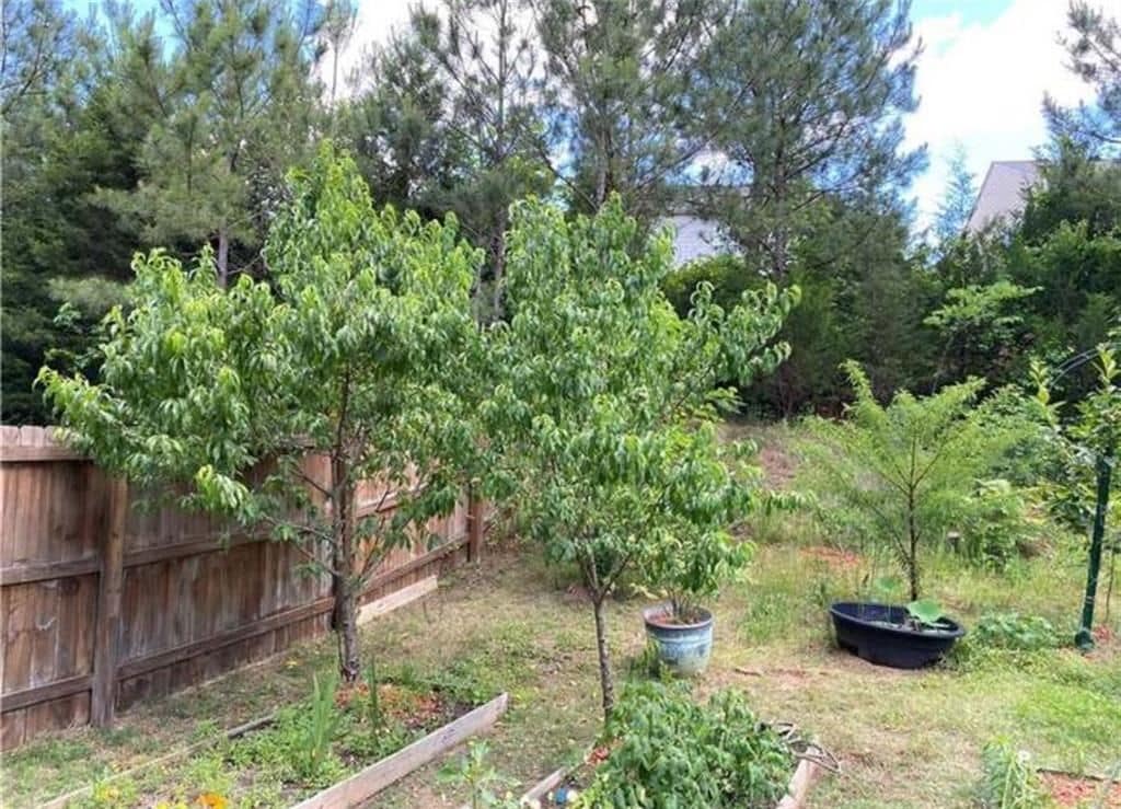 Building Photo - 1719 Charcoal Ives Rd