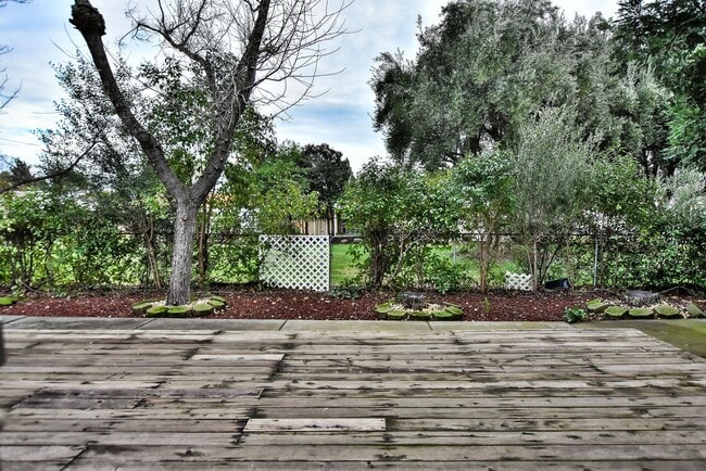 Building Photo - 498 Nut Tree Ct