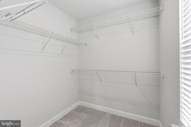Building Photo - 529 Swansea Dr