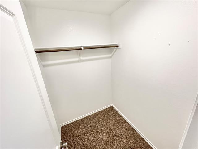 Building Photo - 1125 Silver Maple Ln