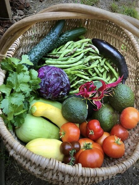 Building Photo - 1608 Bath St