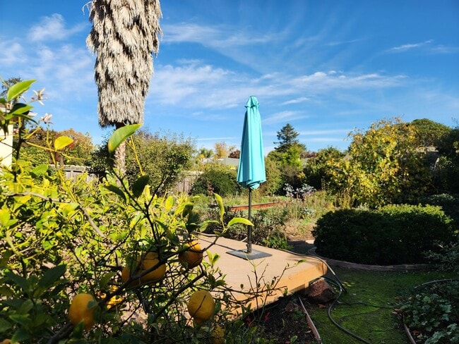 Building Photo - Two bedroom house in Redwood City
