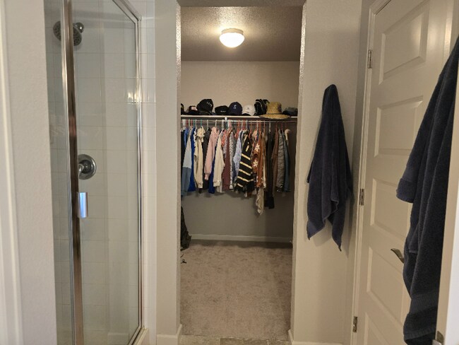 Building Photo - 310 Pavo Ct