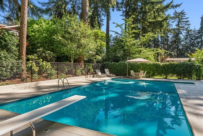 Building Photo - 7Bd/6.5Ba Bellevue Home