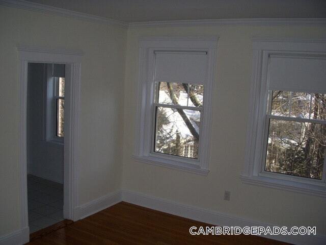 Building Photo - 22 Chauncey St