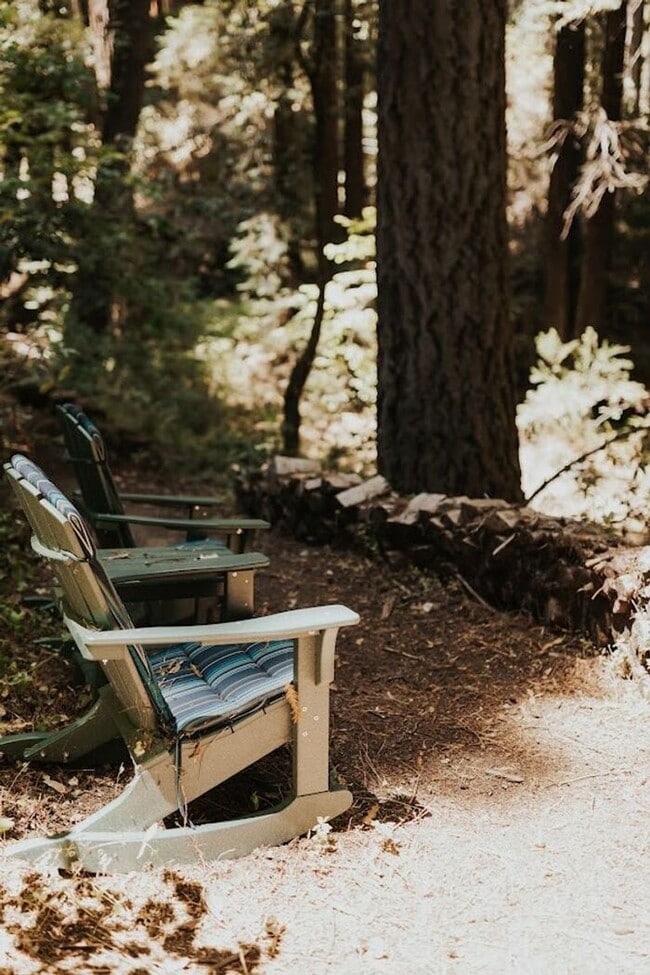 Building Photo - Sunlit Sanctuary in the Redwoods