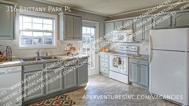 Building Photo - 316 Brittany Park Pl