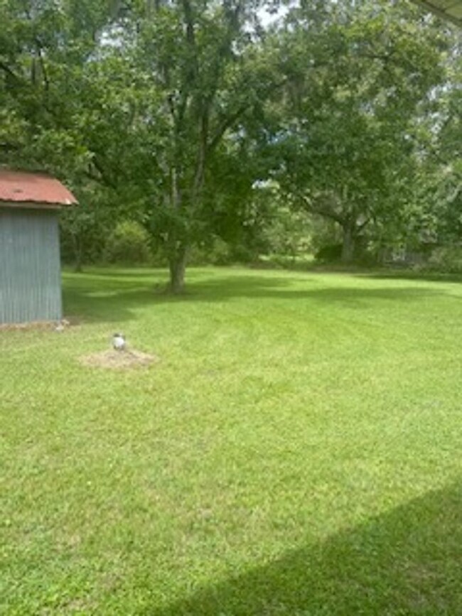 Building Photo - Sprawling Brick Ranch in Callahan