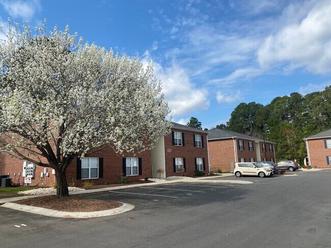 Building Photo - Who doesn't love  high speed internet, cable, water, sewer, trash & pest control included with th...