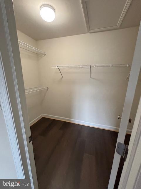 Building Photo - 312 Emerald Ln