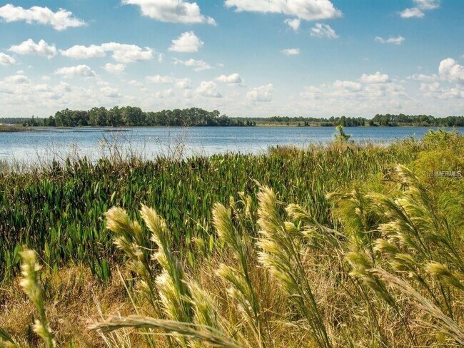 Building Photo - 16067 Pebble Blf Lp