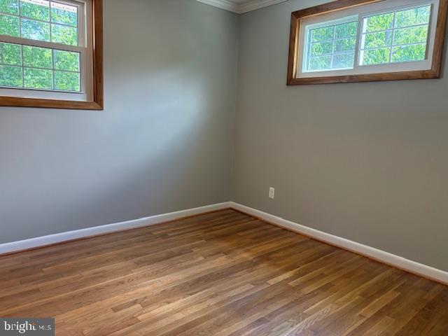 Building Photo - 11113 Schuylkill Rd