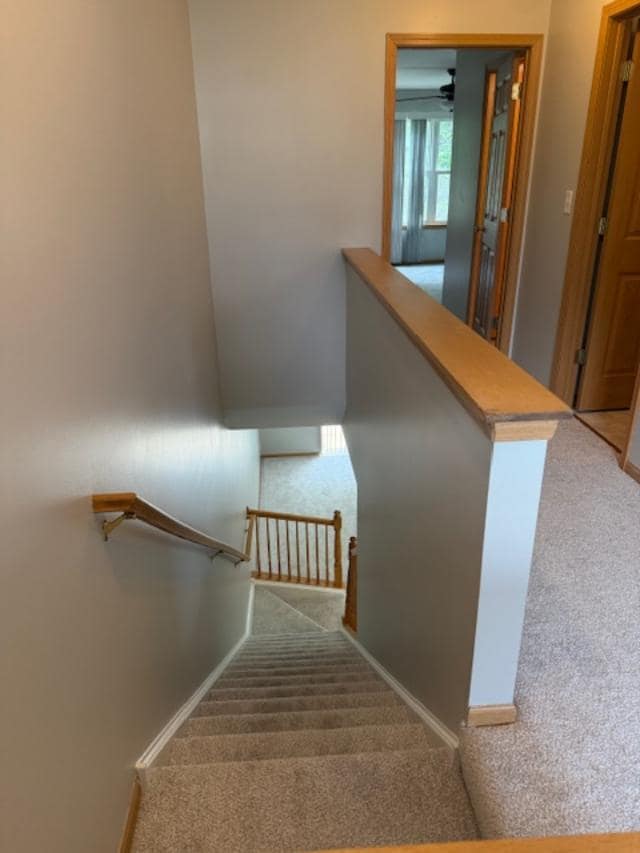 Building Photo - 1207 Brookdale Dr