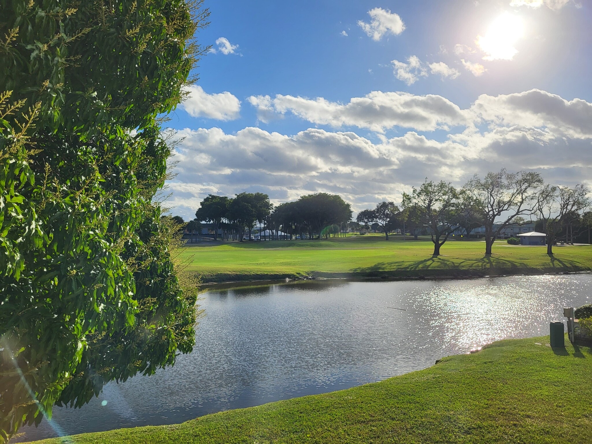 Building Photo - 129 Piedmont C