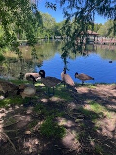 Building Photo - 592 N 3rd St