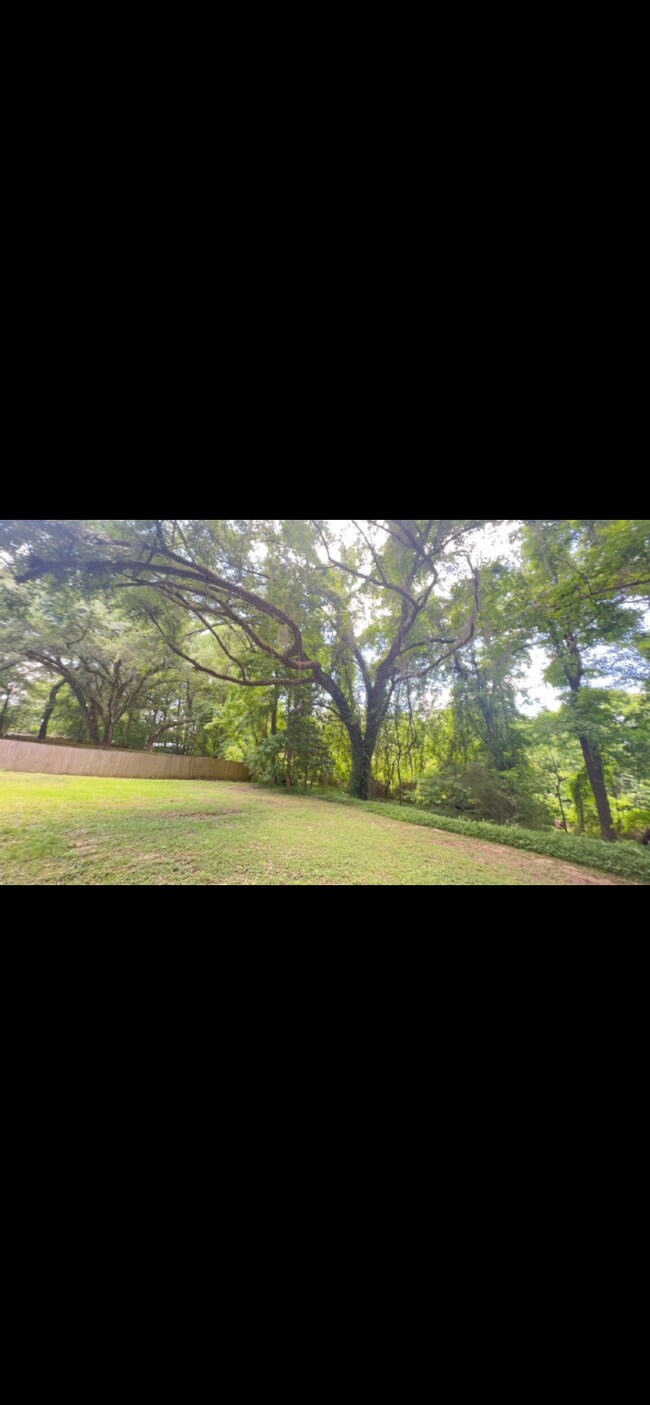 Building Photo - Large 2BD/ 2BTH with loft-Great Location