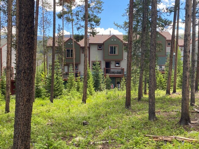 Building Photo - 213 Wolf Park Ln