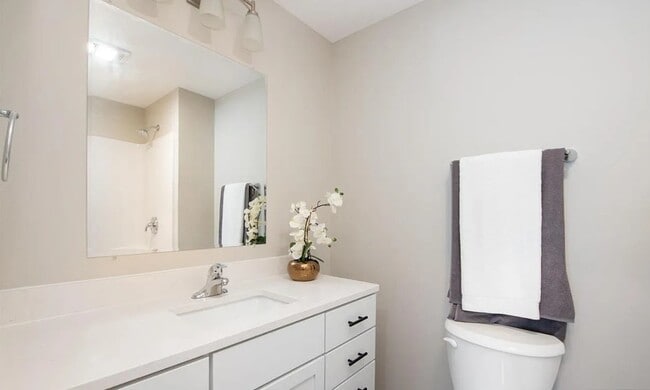 Building Photo - 3111 Scotch Ln