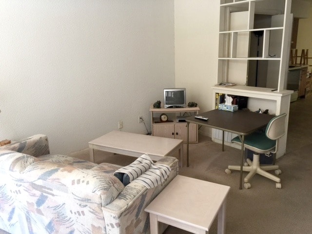 Typical Living Room - Vista Ridge