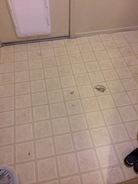 Building Photo - 384 Chestnut St