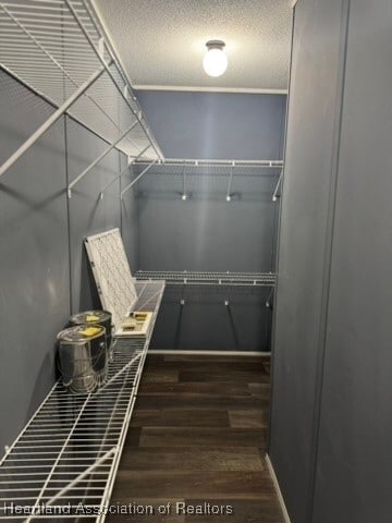 Building Photo - 9127 Morgan Path