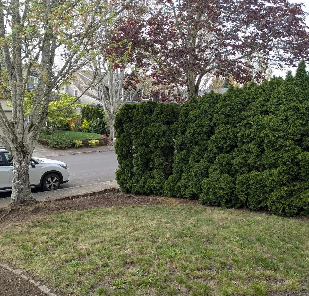 Building Photo - 16167 NW Ryegrass St