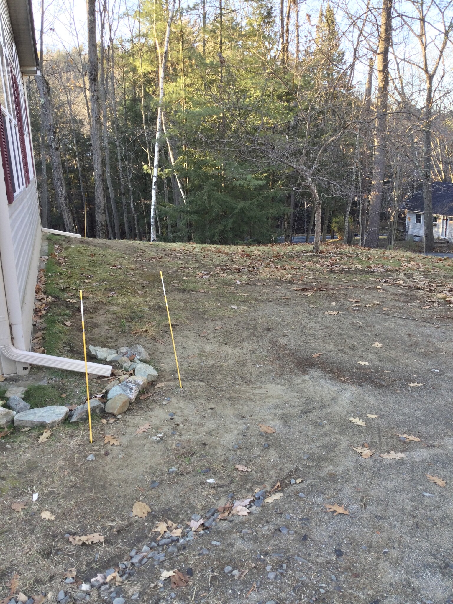 Side yard right - 45 Abbott St