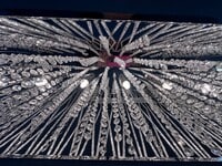 Building Photo - 595 Kingfisher Cir