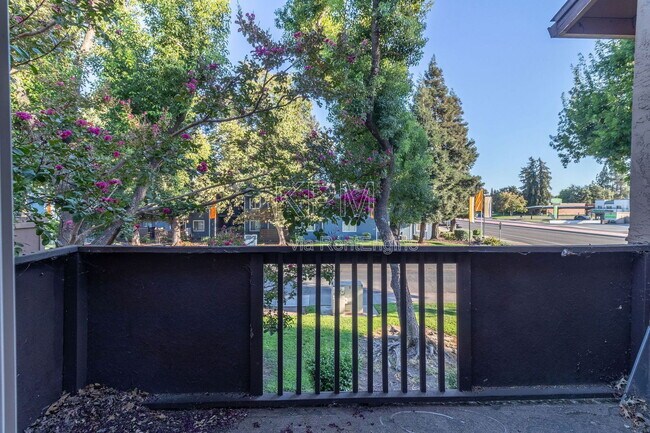 Building Photo - 4332 Pacific Ave