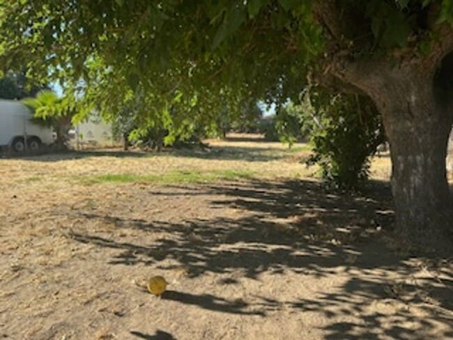 Building Photo - NEW NEW NEW! 3 BEDROOM 1 BATH IN KINGSBURG