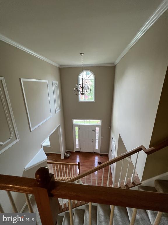 Building Photo - 4511 Nightingale Ct