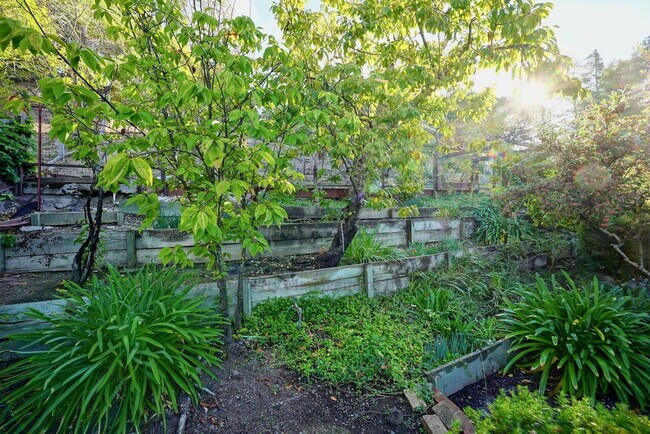 Building Photo - Loma Verde Home with Spacious Backyard, Gr...