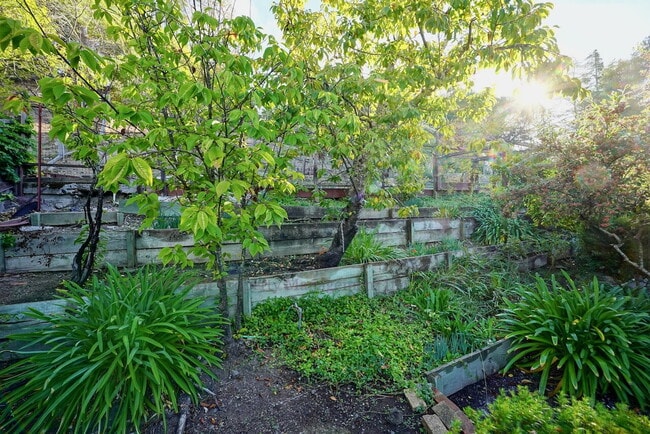 Building Photo - Loma Verde Home with Spacious Backyard, Great Neighborhood!