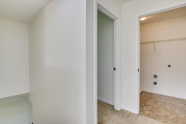Building Photo - 873 Rollo Domino Cir