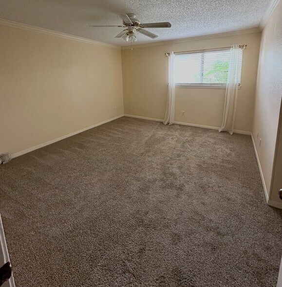 Building Photo - 5911 Woodway Place Ct