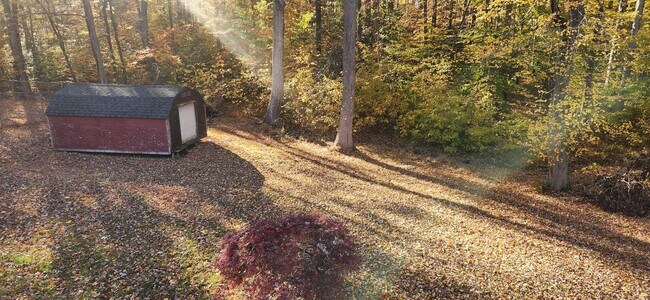 Building Photo - Cozy 3 Bedroom Rambler Nestled on a large property