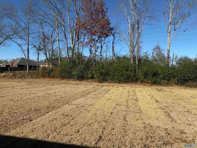 Building Photo - 151 Olde Hearth Rd