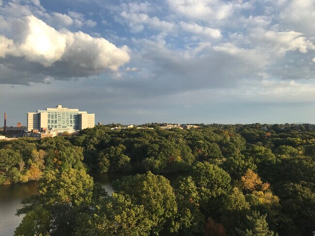 Building Photo - 77 Pond Ave