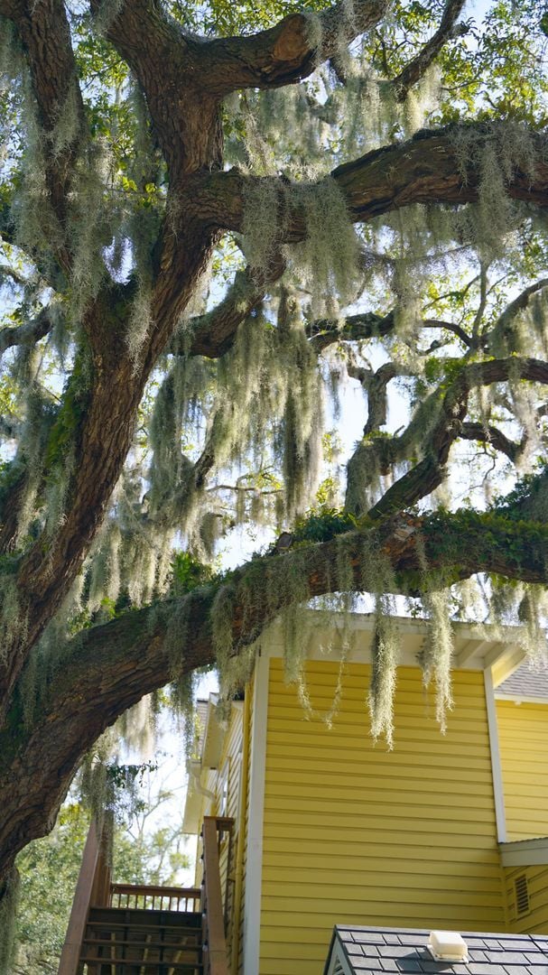 Building Photo - 14 Sanchez Ave