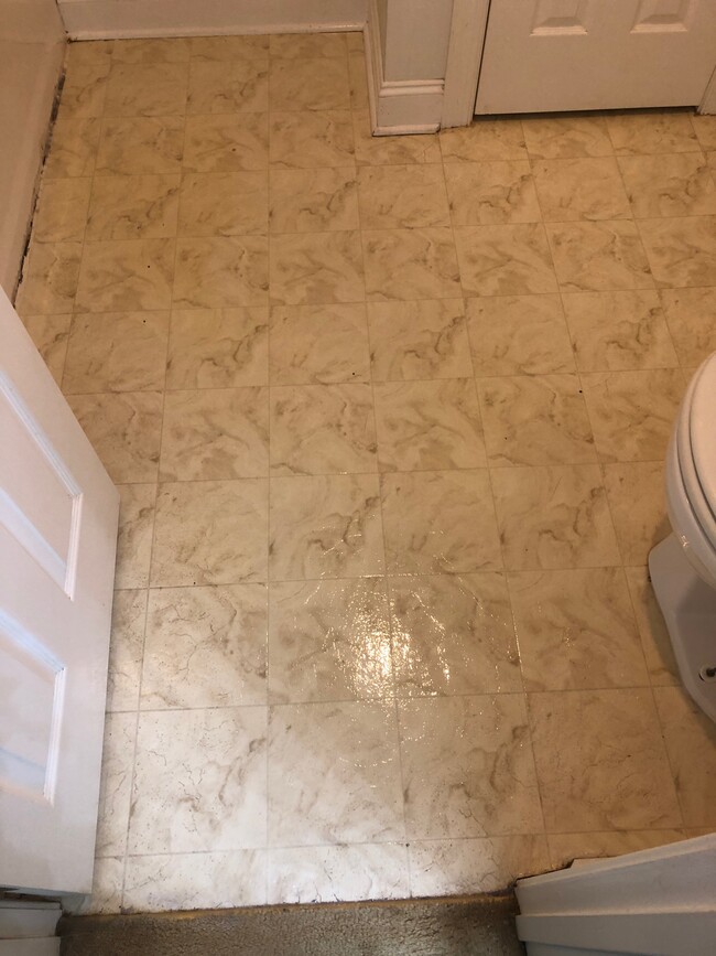 New bathroom floors - 12 Bermuda Pointe Cir