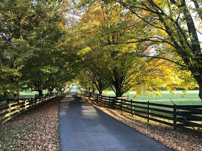Building Photo - Home on Beautiful Farm and Vineyard Minutes From Town Of Blacksburg